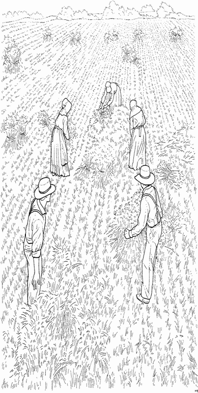 Plansa de colorat cu Ferma 43 31